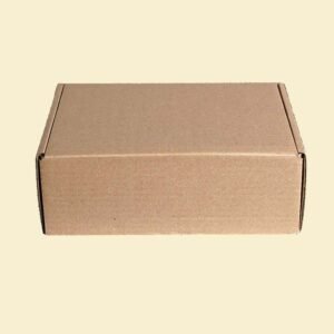 Caixa de Papelão Correio 3 - 30X20X11 cm embala easy