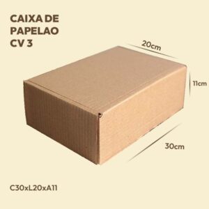 CAIXA DE PAPELAO CORREIO 3 - 30X20X11 cm - 25