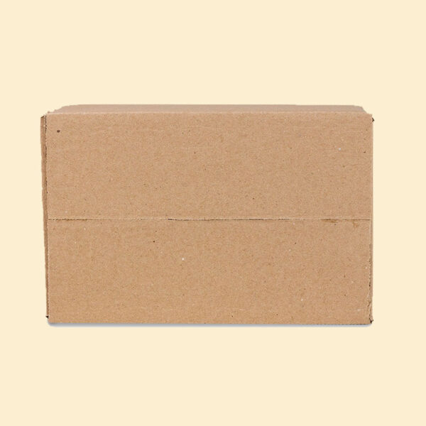 Caixa Maleta de Papelão 104 20x14x8 cm